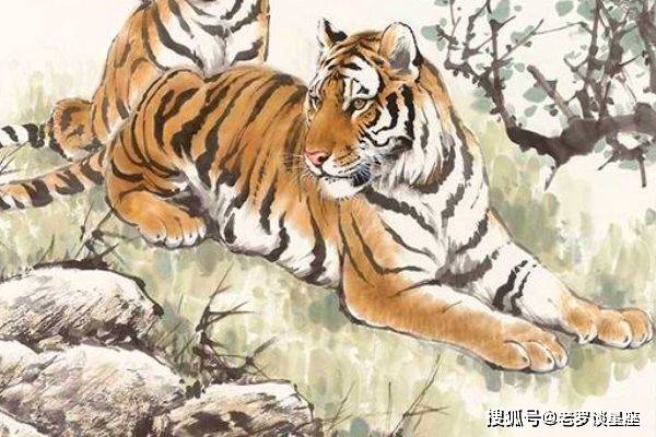 身教言傅，各擅勝場，循循善誘最理想打一正确生肖详细解答、综合解答解释落实